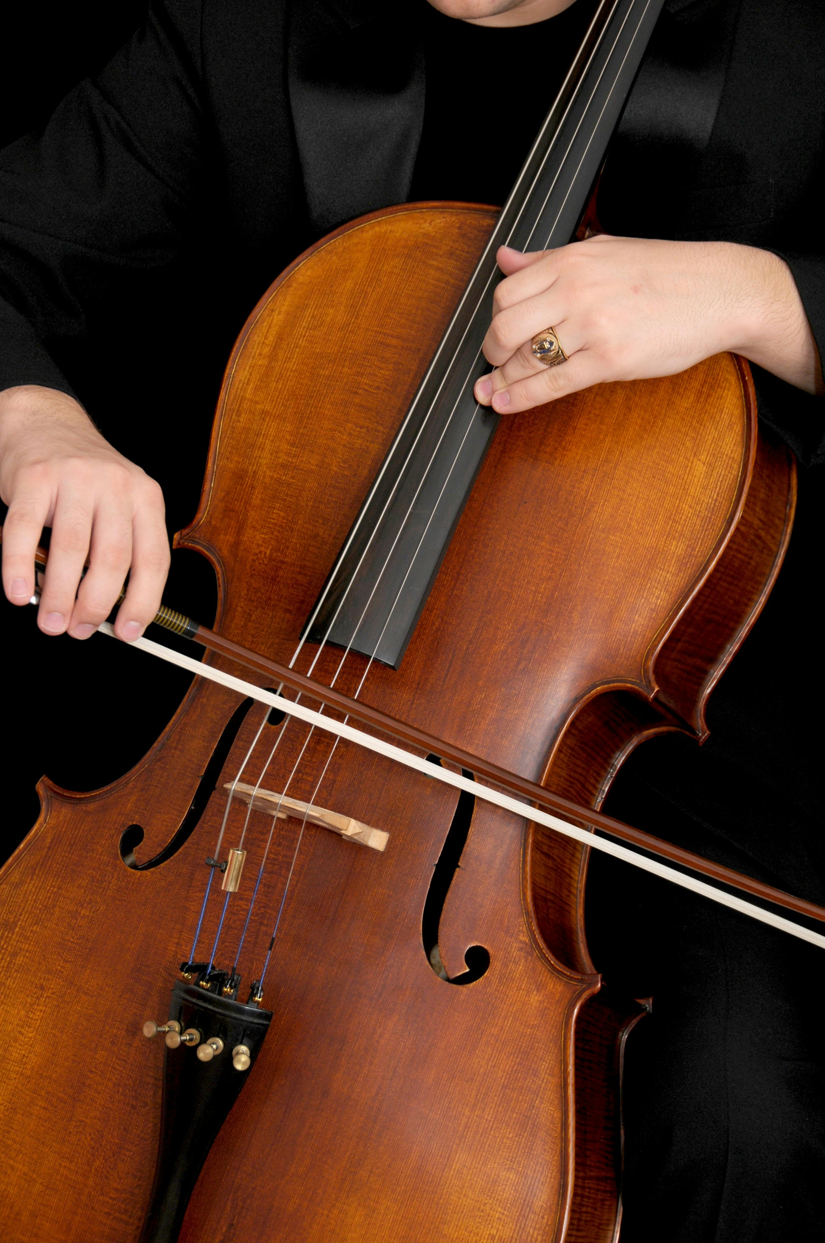 Violoncelo